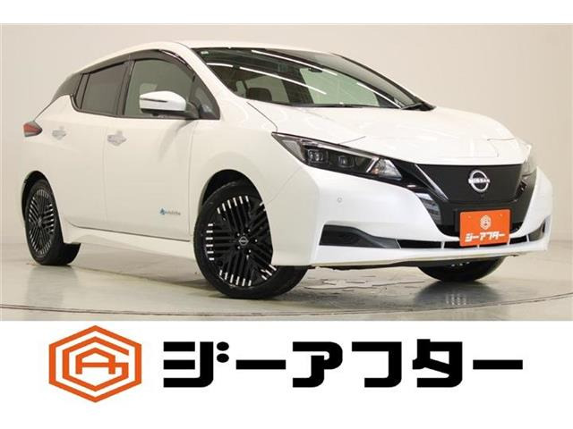 リーフX Vセレクション