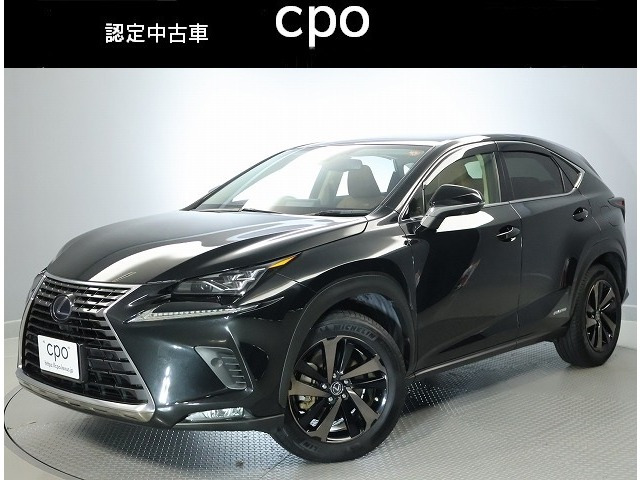 NX300h バージョンL 4WD