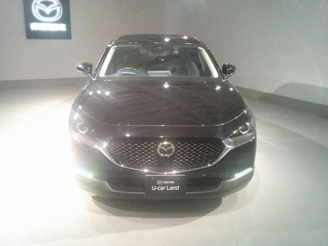 CX-302.0 20S