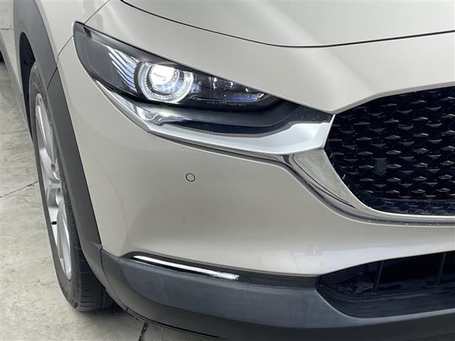 CX-301.8 XD Lパッケージ