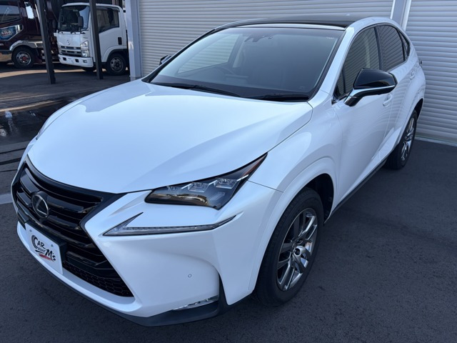 NX200t アーバンスタイル