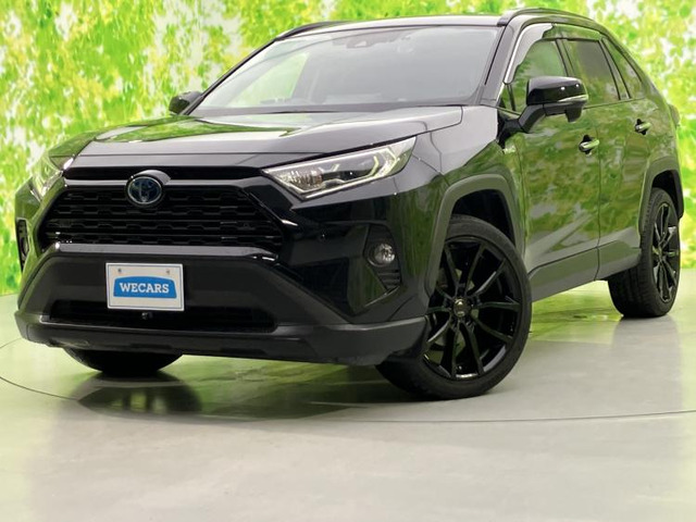 RAV42.5 ハイブリッド G E-Four 4WD