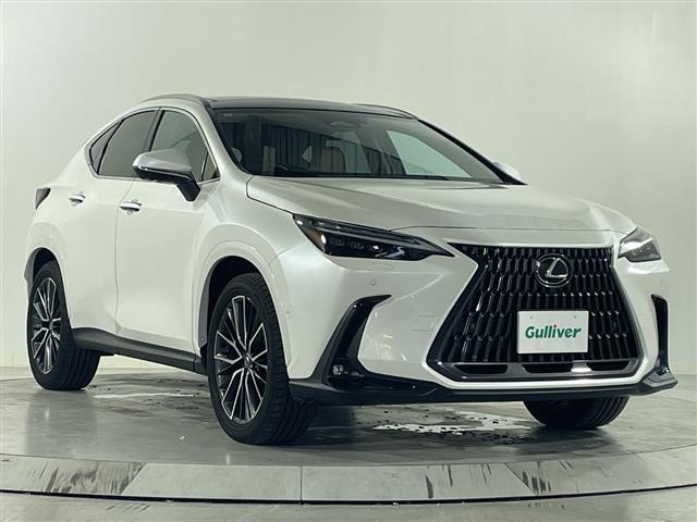 NX350h バージョンL