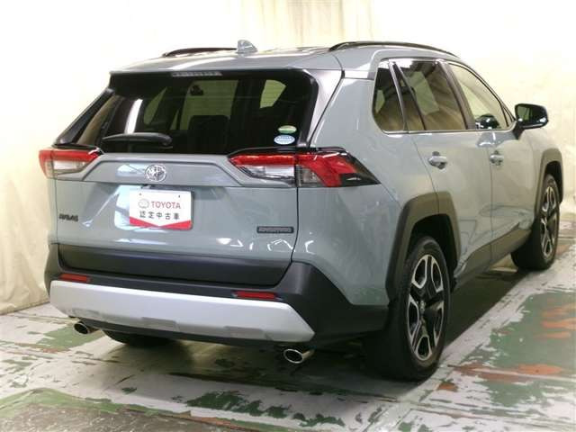 RAV42.0 アドベンチャー 4WD