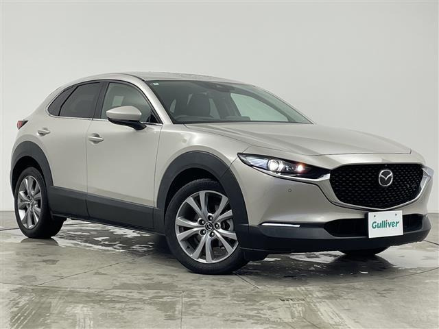 CX-301.8 XD Lパッケージ
