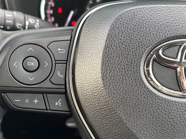 RAV42.0 アドベンチャー 4WD