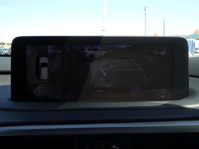 RX300 Fスポーツ