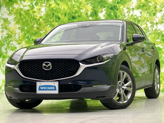 CX-302.0 20S プロアクティブ