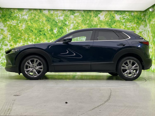 CX-302.0 20S プロアクティブ