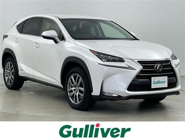 NX300h 4WD