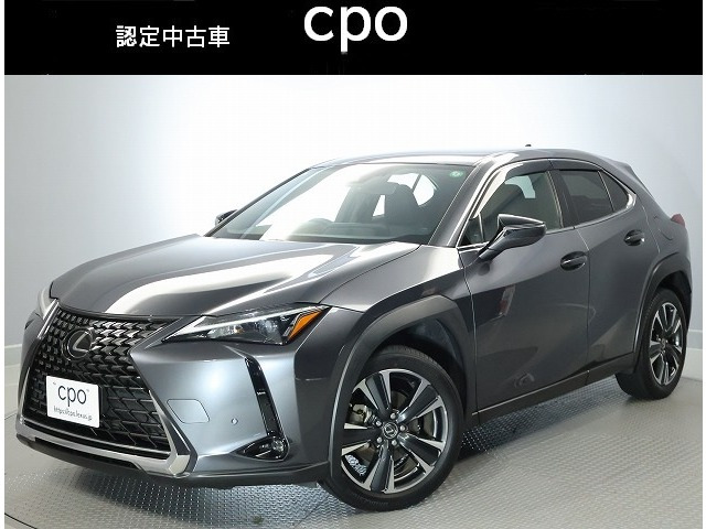 UX250h バージョンC