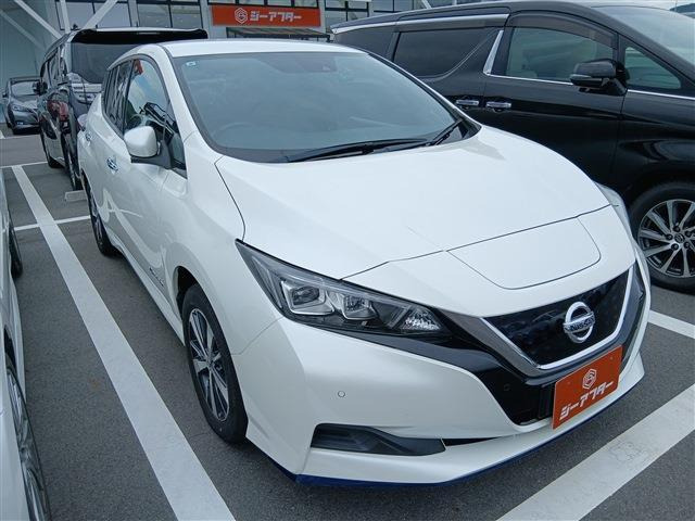 リーフe+ X