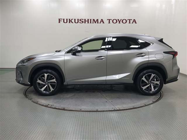 NX300h バージョンL 4WD