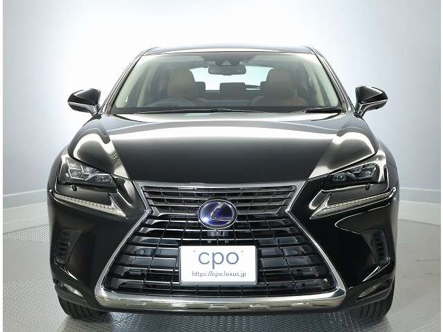 NX300h バージョンL 4WD