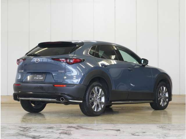 CX-301.8 XD プロアクティブ ツーリングセレクション