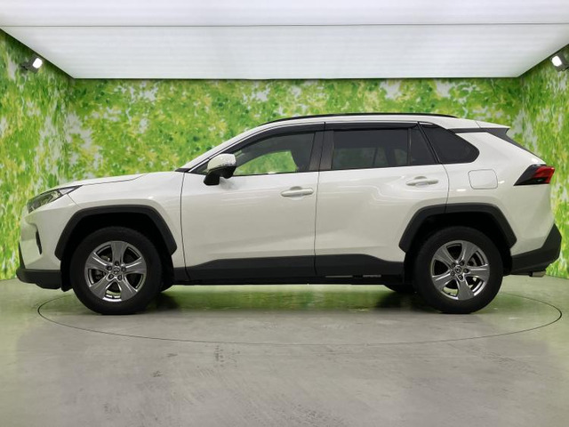 RAV42.0 X