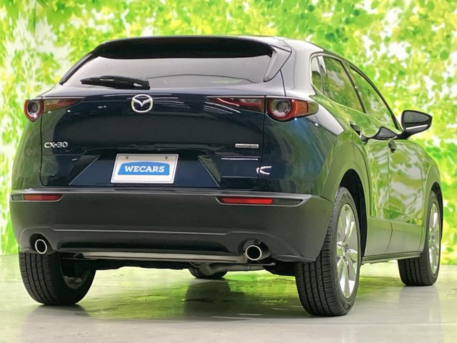CX-302.0 20S プロアクティブ