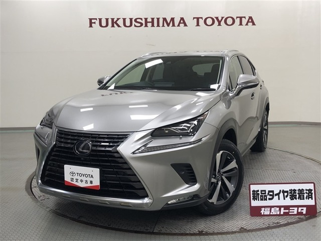 NX300h バージョンL 4WD
