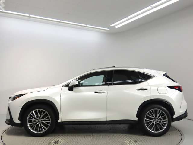 NX350h バージョンL