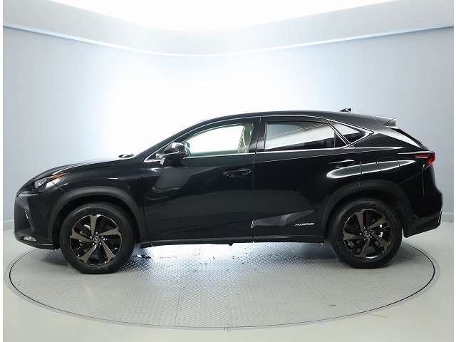 NX300h バージョンL 4WD