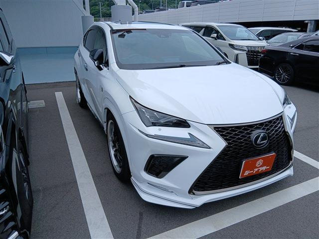 NX300 Fスポーツ