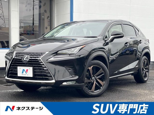 NX300h バージョンL