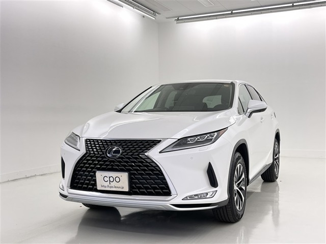 RX300