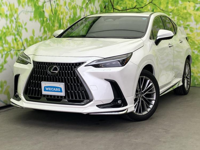 NX350h バージョンL
