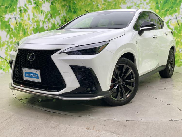 NX350h Fスポーツ