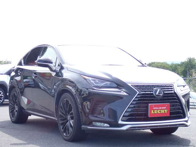 NX300