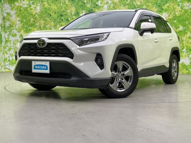 RAV42.0 X