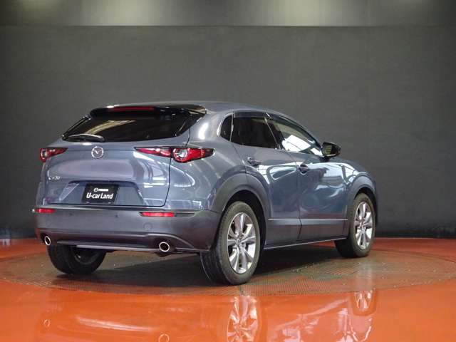 CX-301.8 XD プロアクティブ