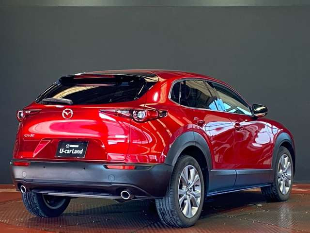 CX-301.8 XD Lパッケージ