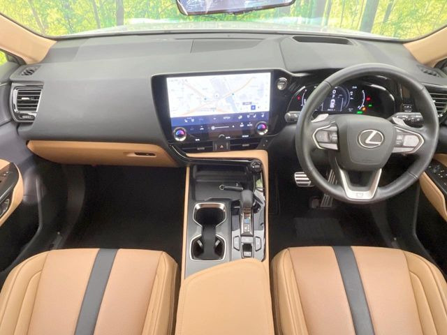 NX350h Fスポーツ