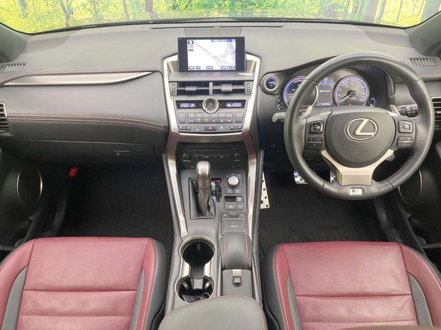 NX300h Fスポーツ
