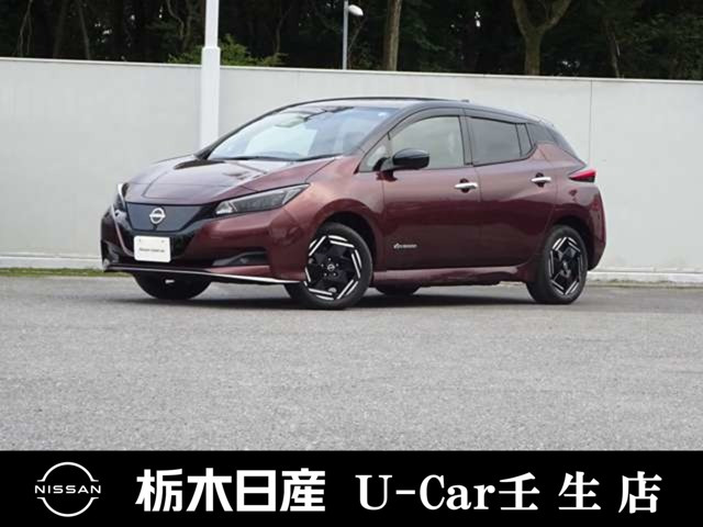 リーフe+ X