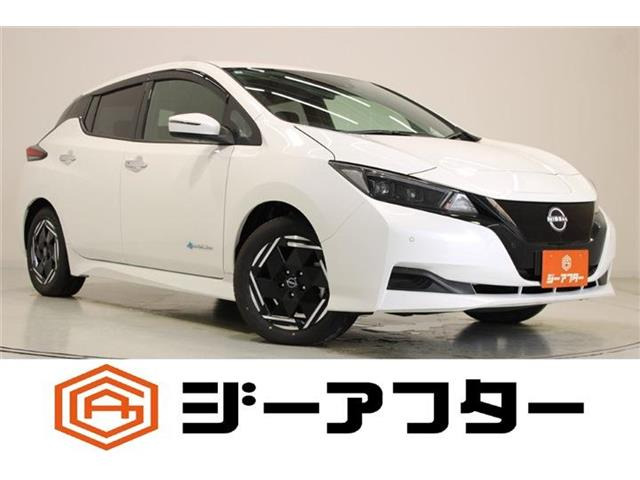 リーフX