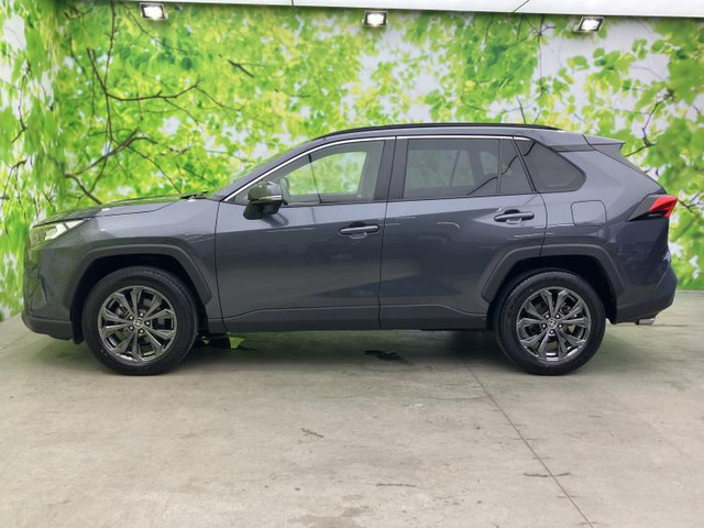 RAV42.0 X