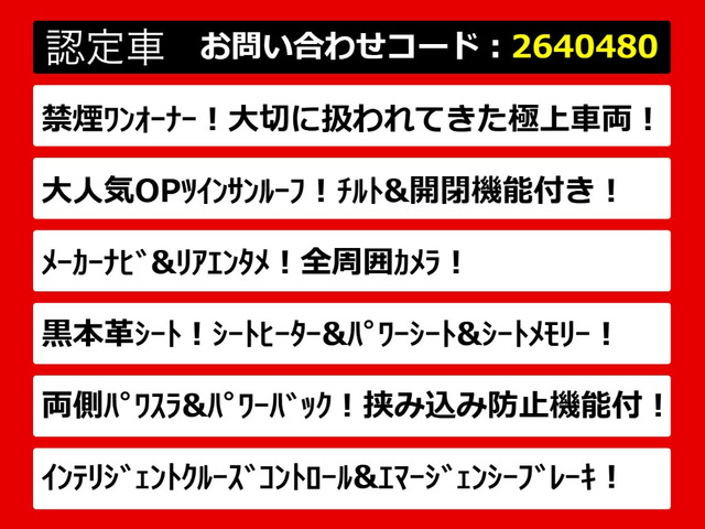 エルグランド3.5 VIP