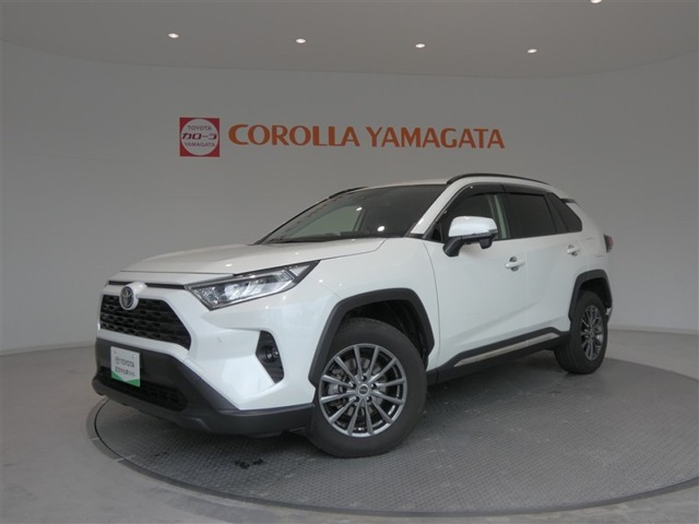 RAV42.0 X