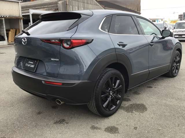 CX-302.0 20S ブラックトーンエディション