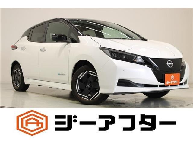 リーフe+ X