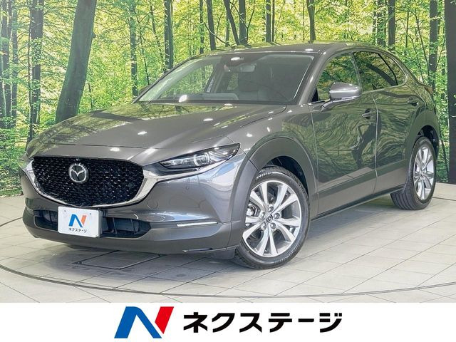 CX-301.8 XD プロアクティブ