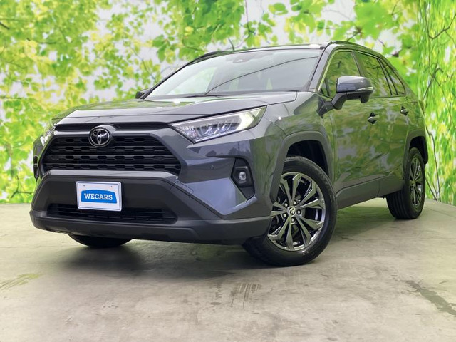RAV42.0 X