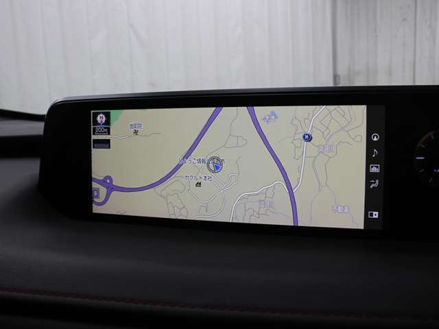 UX250h Fスポーツ