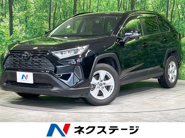 RAV42.0 X