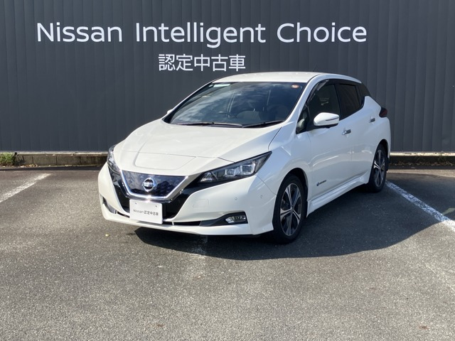 リーフG