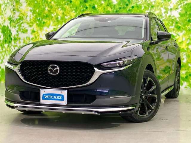 CX-301.8 XD Lパッケージ