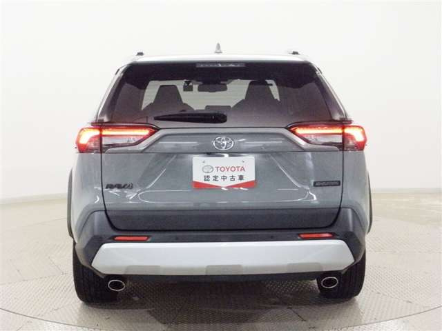 RAV42.0 アドベンチャー 4WD