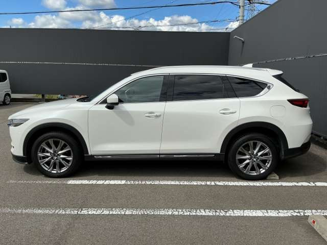 CX-8